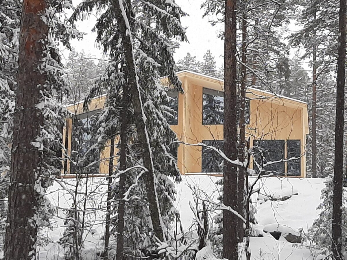 Havu 4 ，位于Jyväskylä的华丽别墅