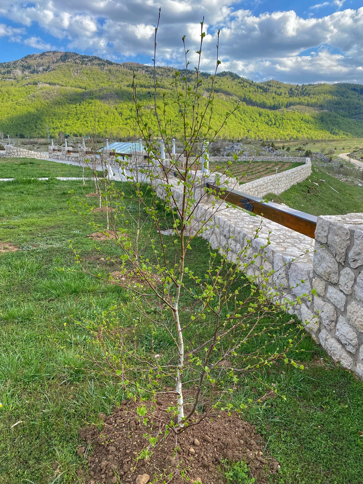 Vila Montenegro Piva 1