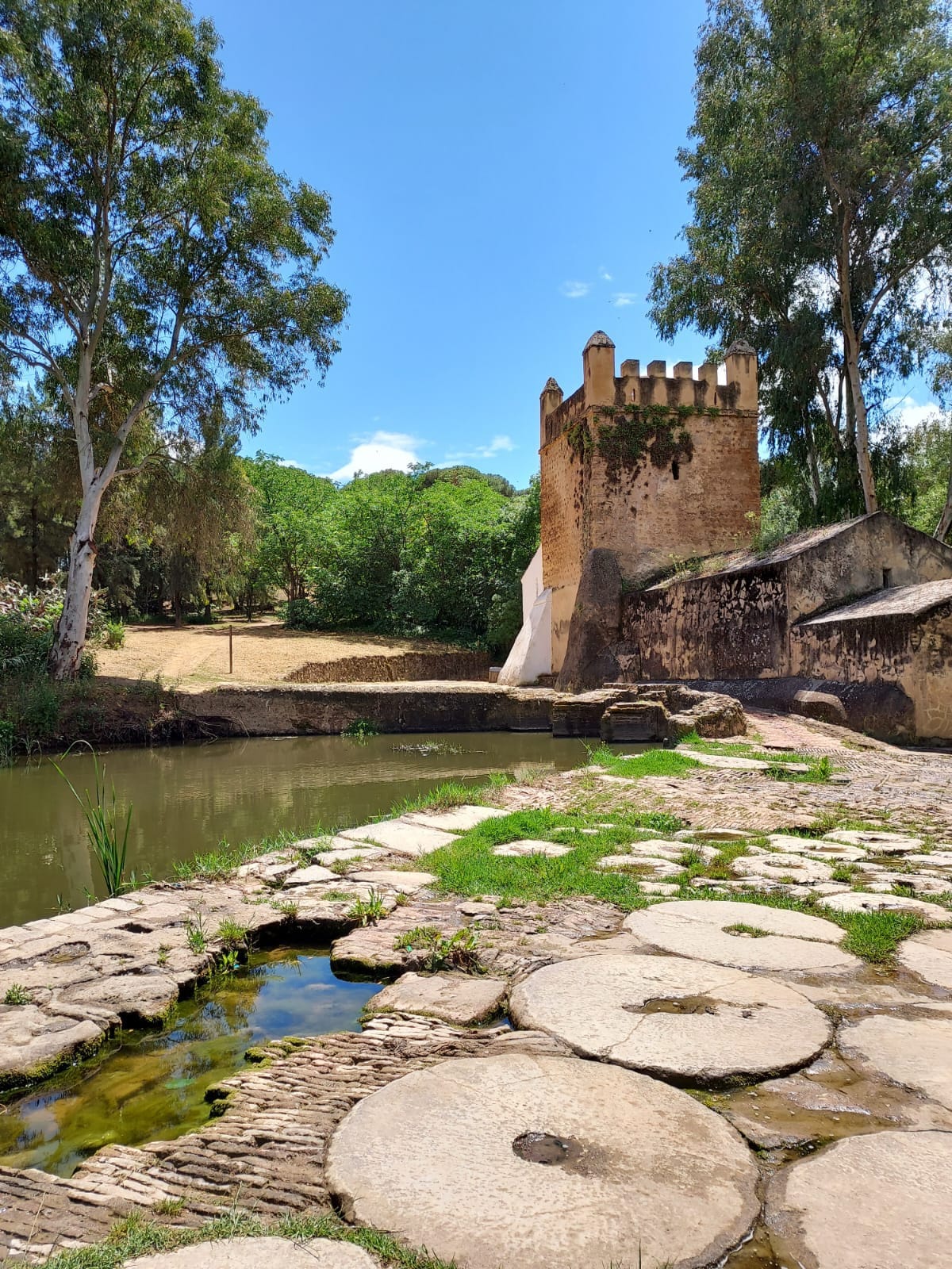 Habitación privada Alcalá de Guadaíra