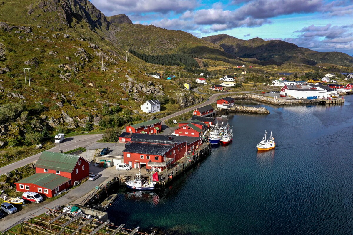 Fish Factory - The real Lofoten experience