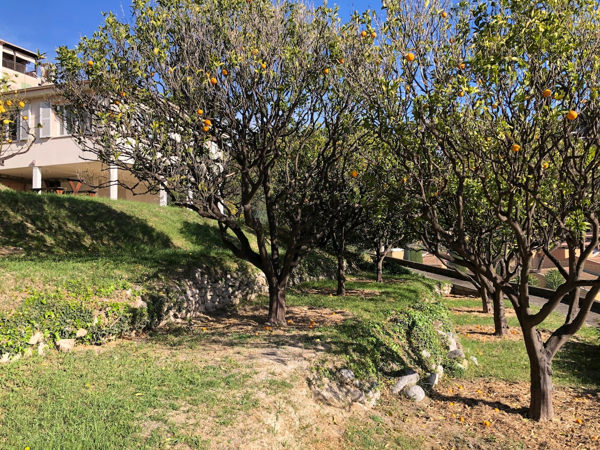 Maison avec jardin. Vue mer