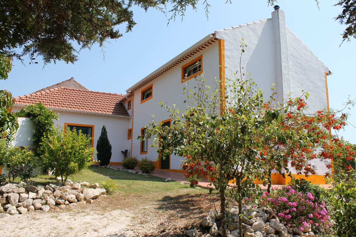 Eco friendly holiday apartment on top of a hill