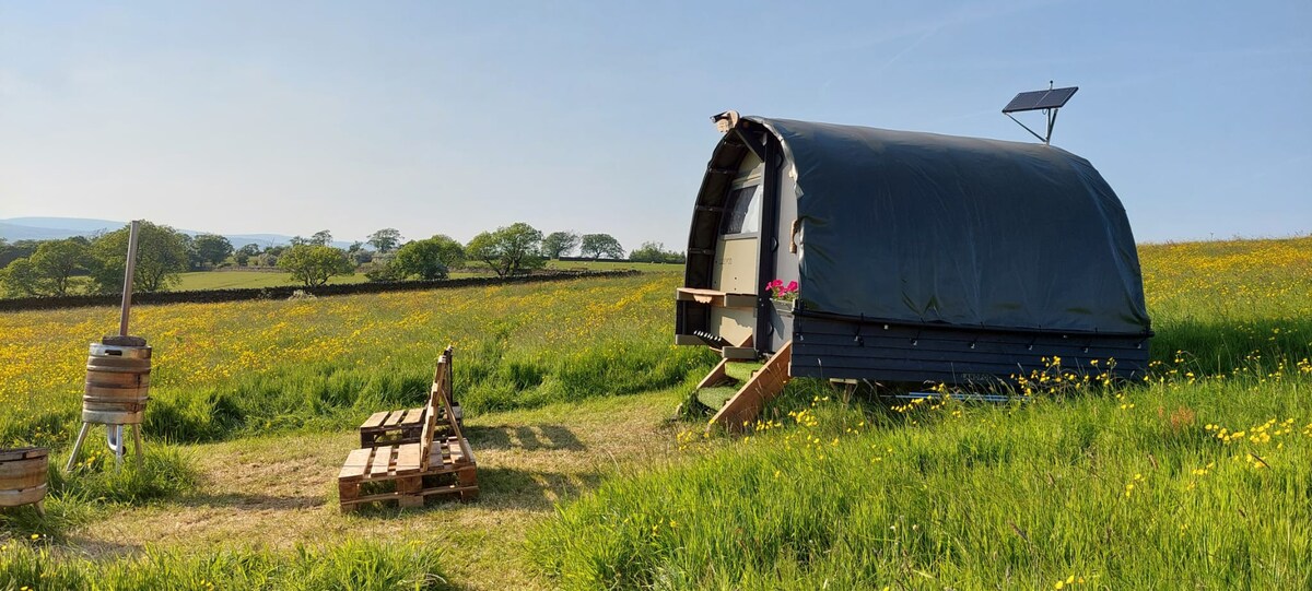 'Oak' Camping pod with cracking views and sunsets