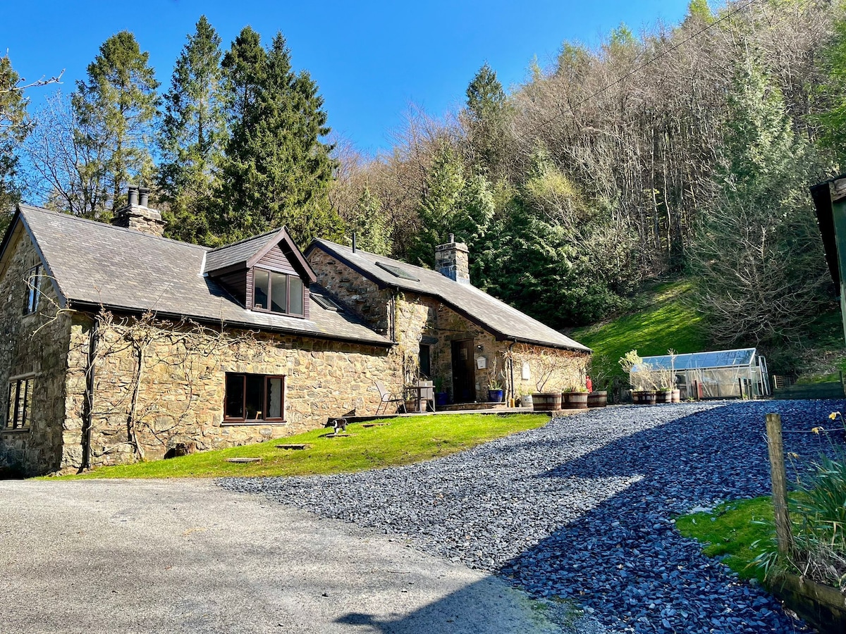 Snowdonia woodland retreat - sleeps 7