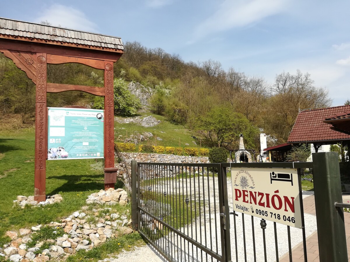 Penzión Skalná Ruža的住宿加早餐住宿加早餐