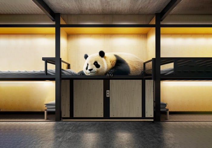 Panda Pod Hotel - Upper Pod