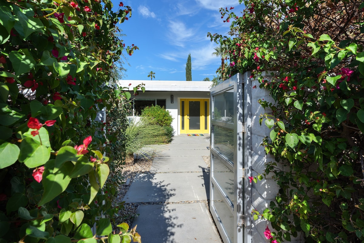 Luxury Mid-Century Modern Home W/Resort Style Yard