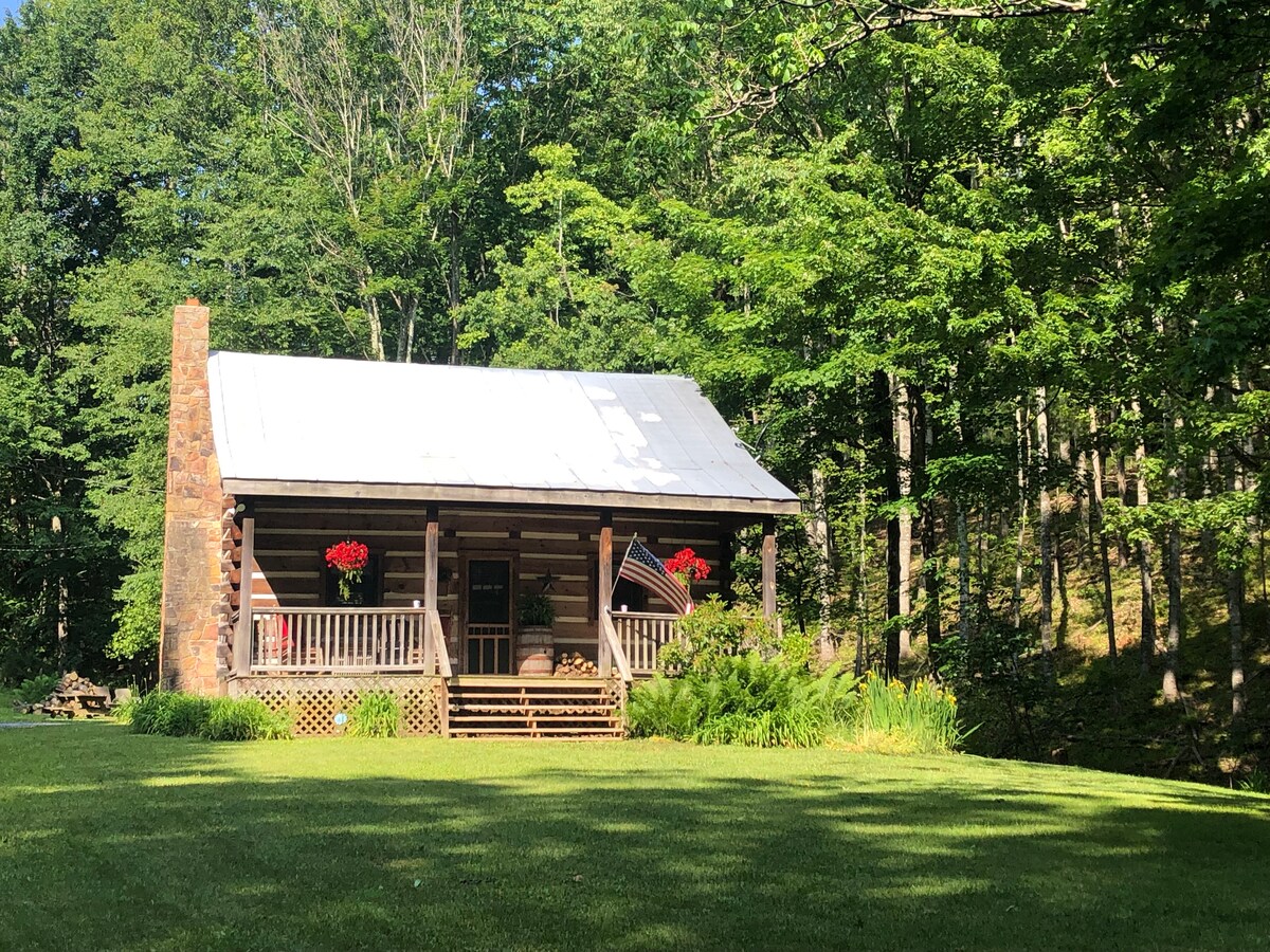 ~Cabin in the Wildwoods~