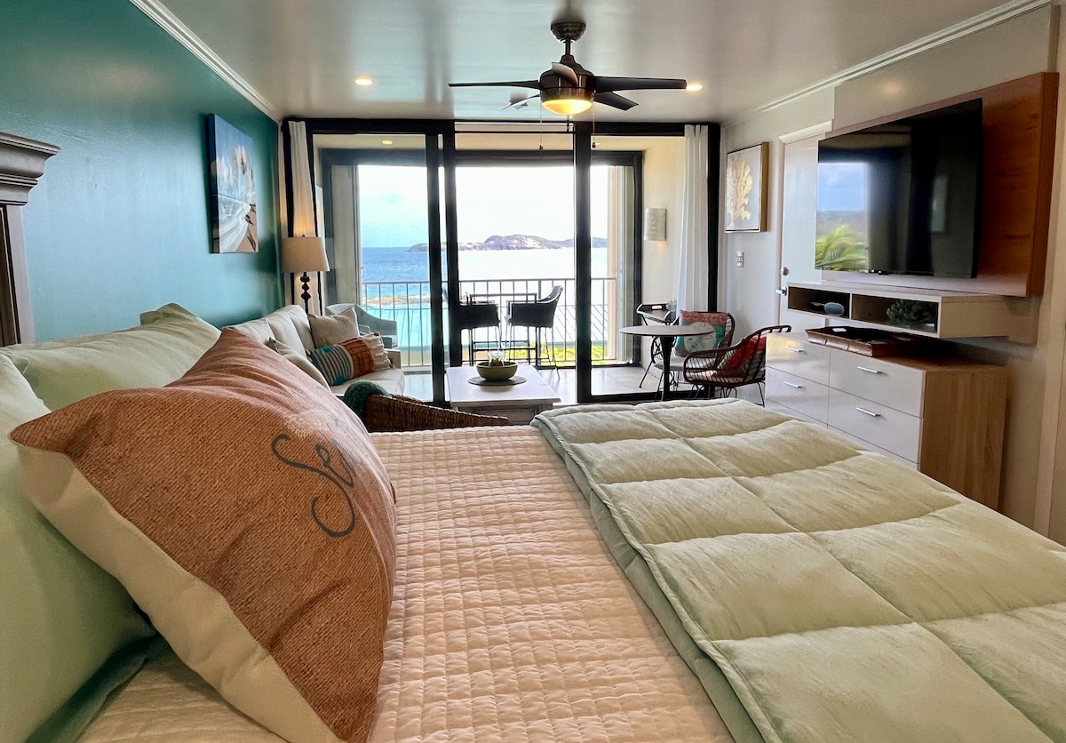 Seas The View-Updated & Oceanview @ Sapphire Beach