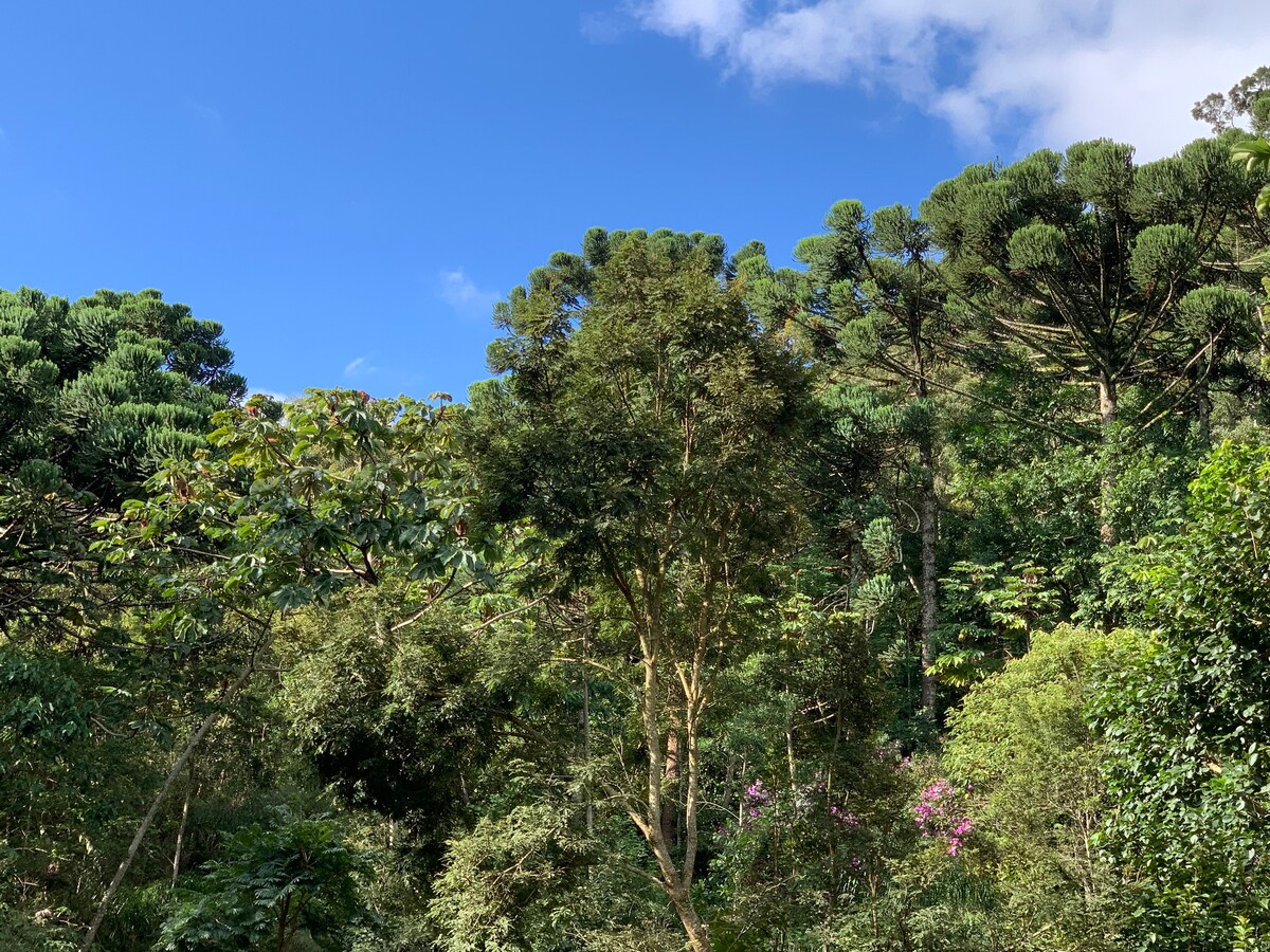 Lindo Sítio na Serra do Lopo, Extrema MG