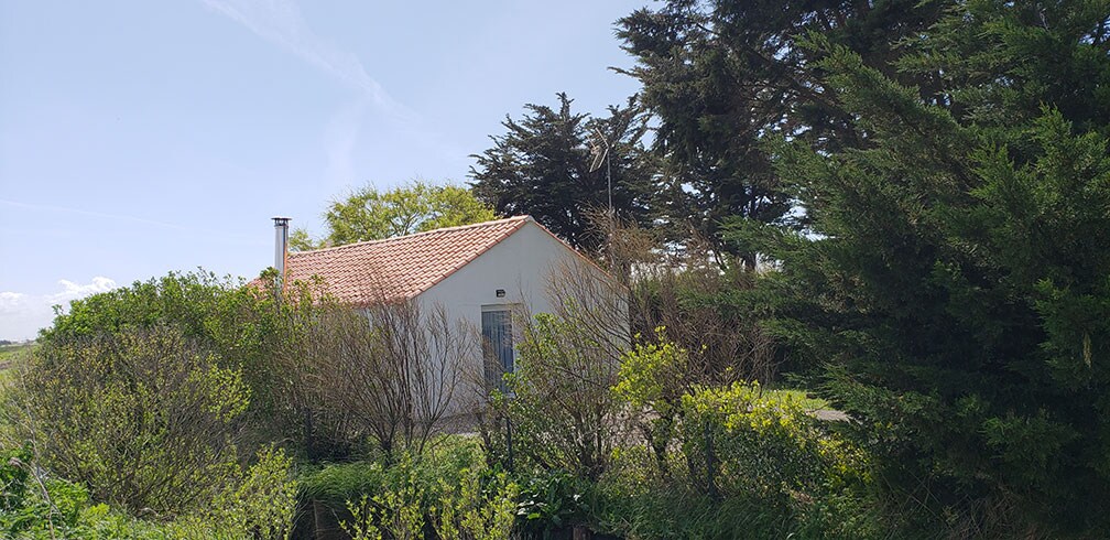 Little house in the Breton marsh