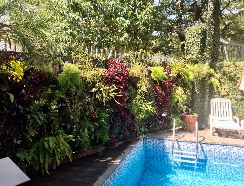 Casa térrea com piscina na Vila Mada