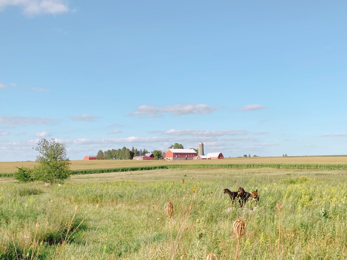 Glamping at Three Pines Farm