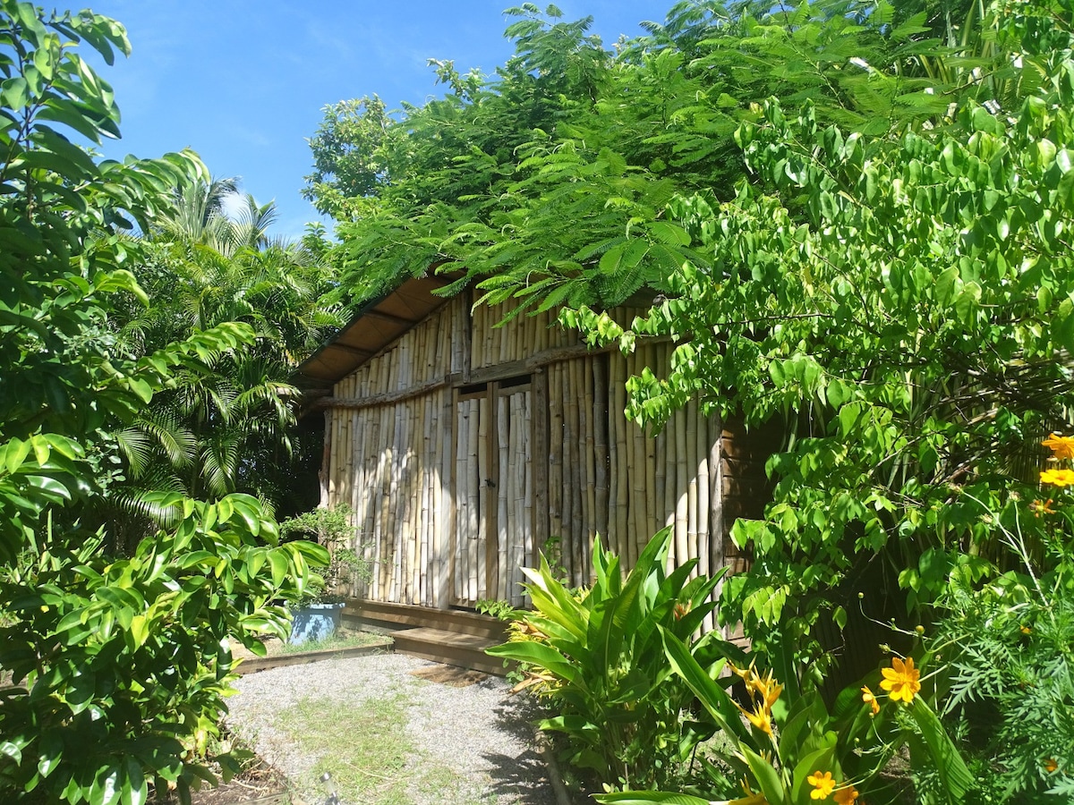 竹树屋及其不寻常的栖息室