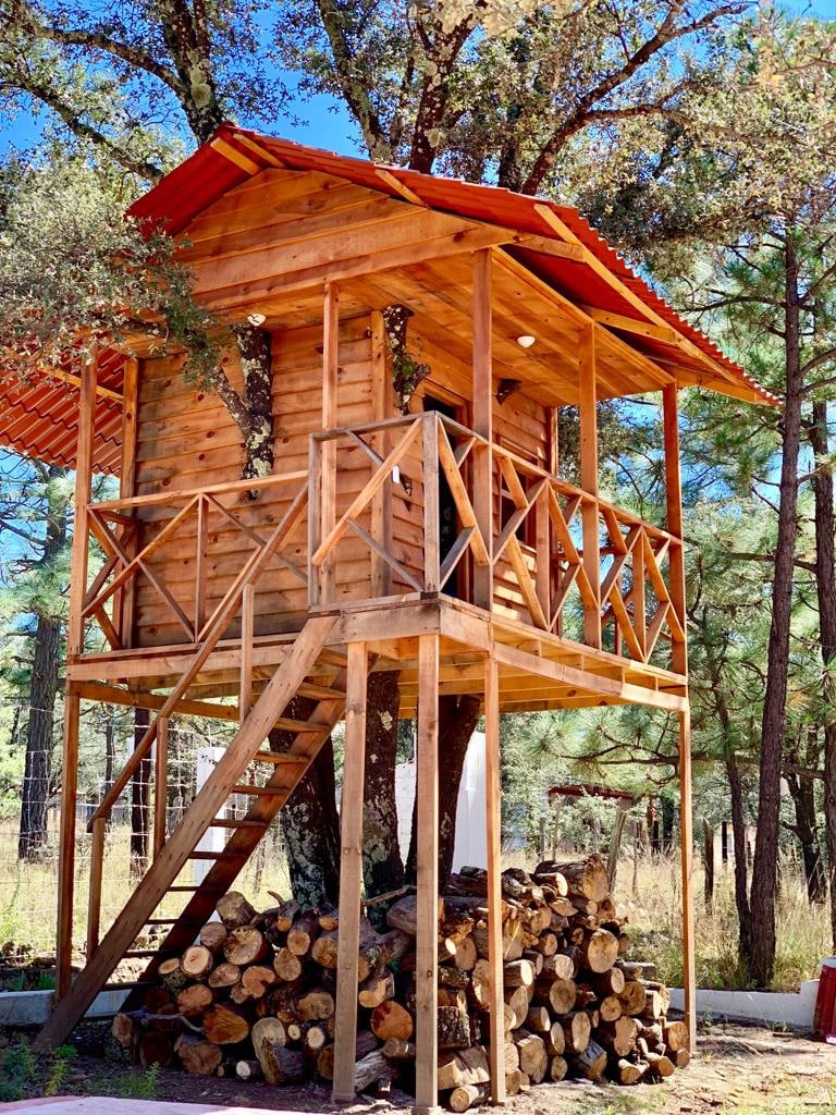 Cabaña la CASA  DEL ARBOL!