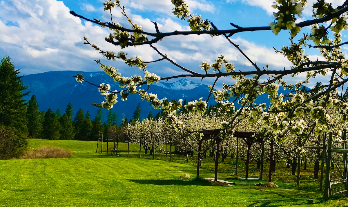 Mountain View Organic Orchard