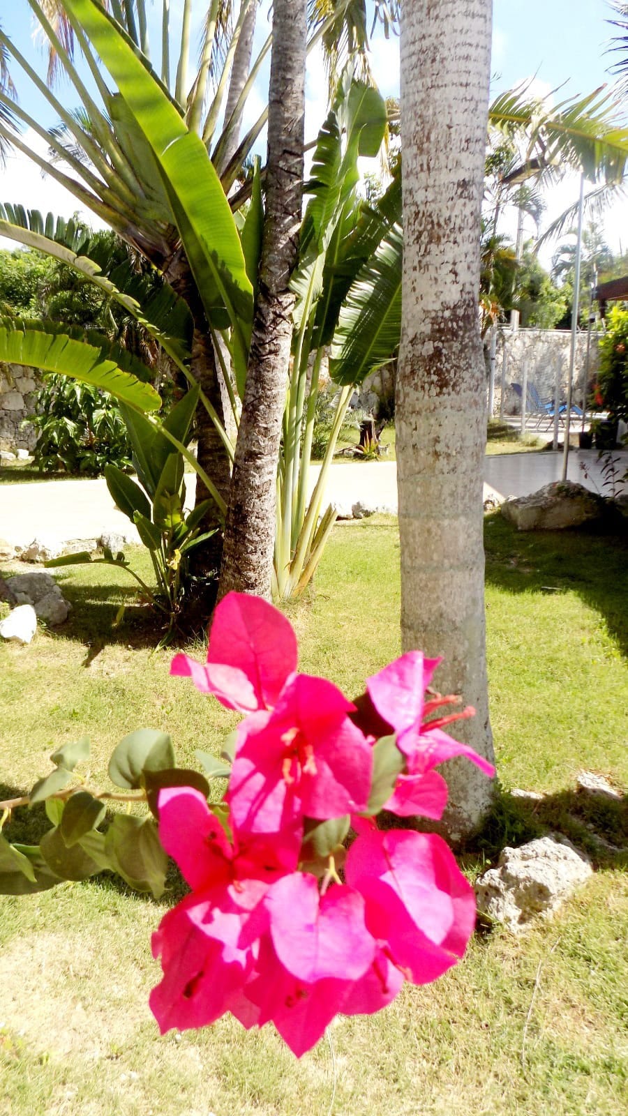 Cómodo Apartamento en Bávaro