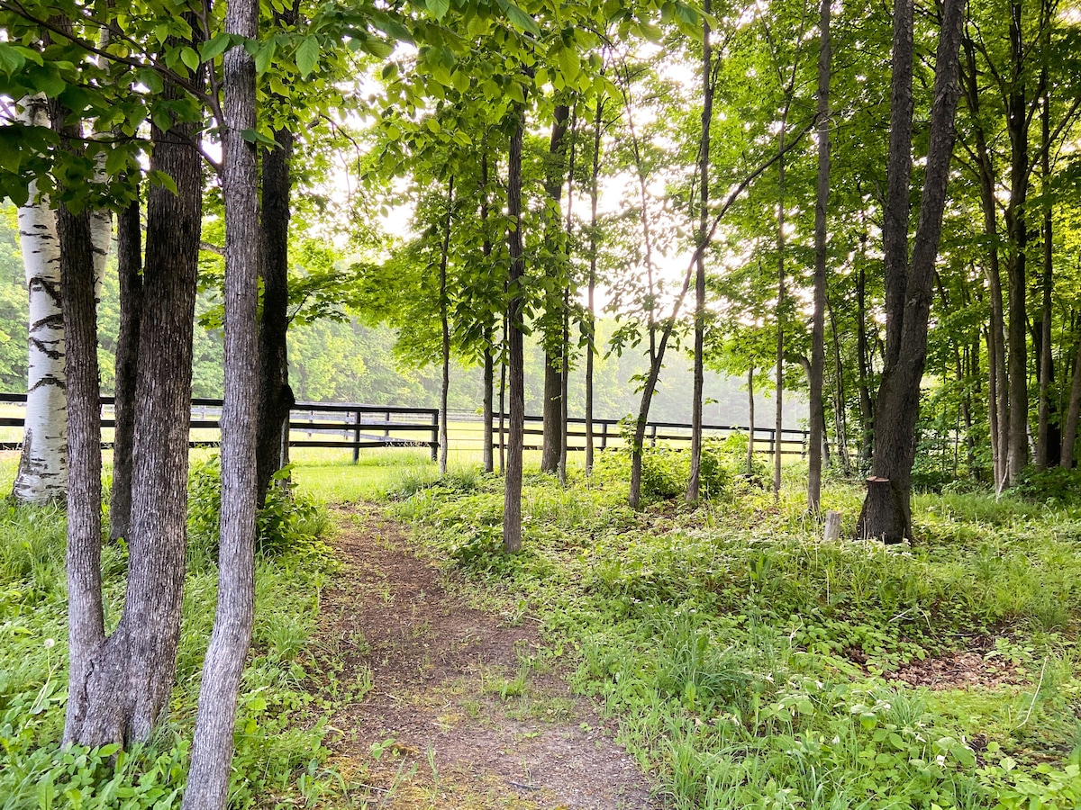 Bright & Modern Country Escape