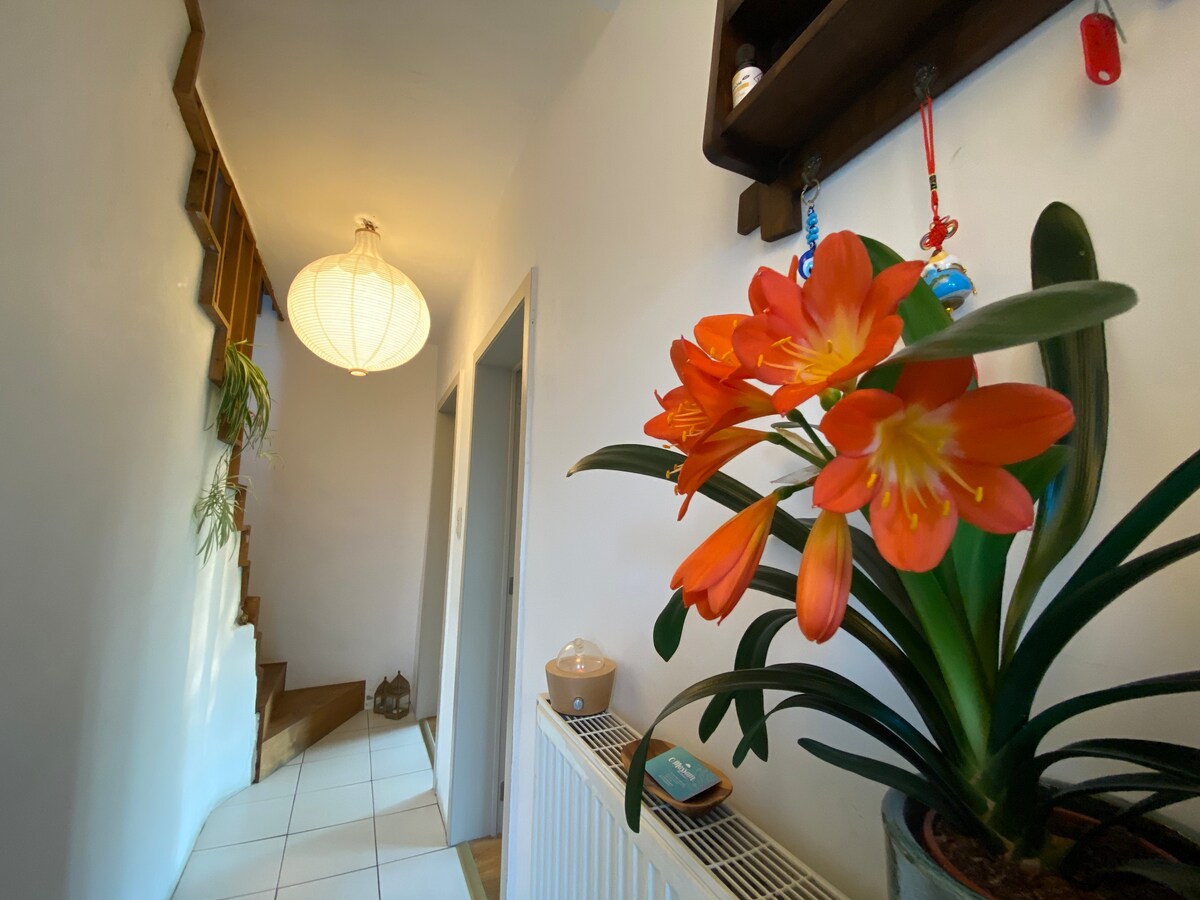 Nice room-Magic house-Massage therapy - near Bxl