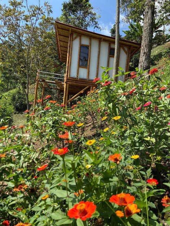 Viyamar Glamping: Discover Tranquility in Style