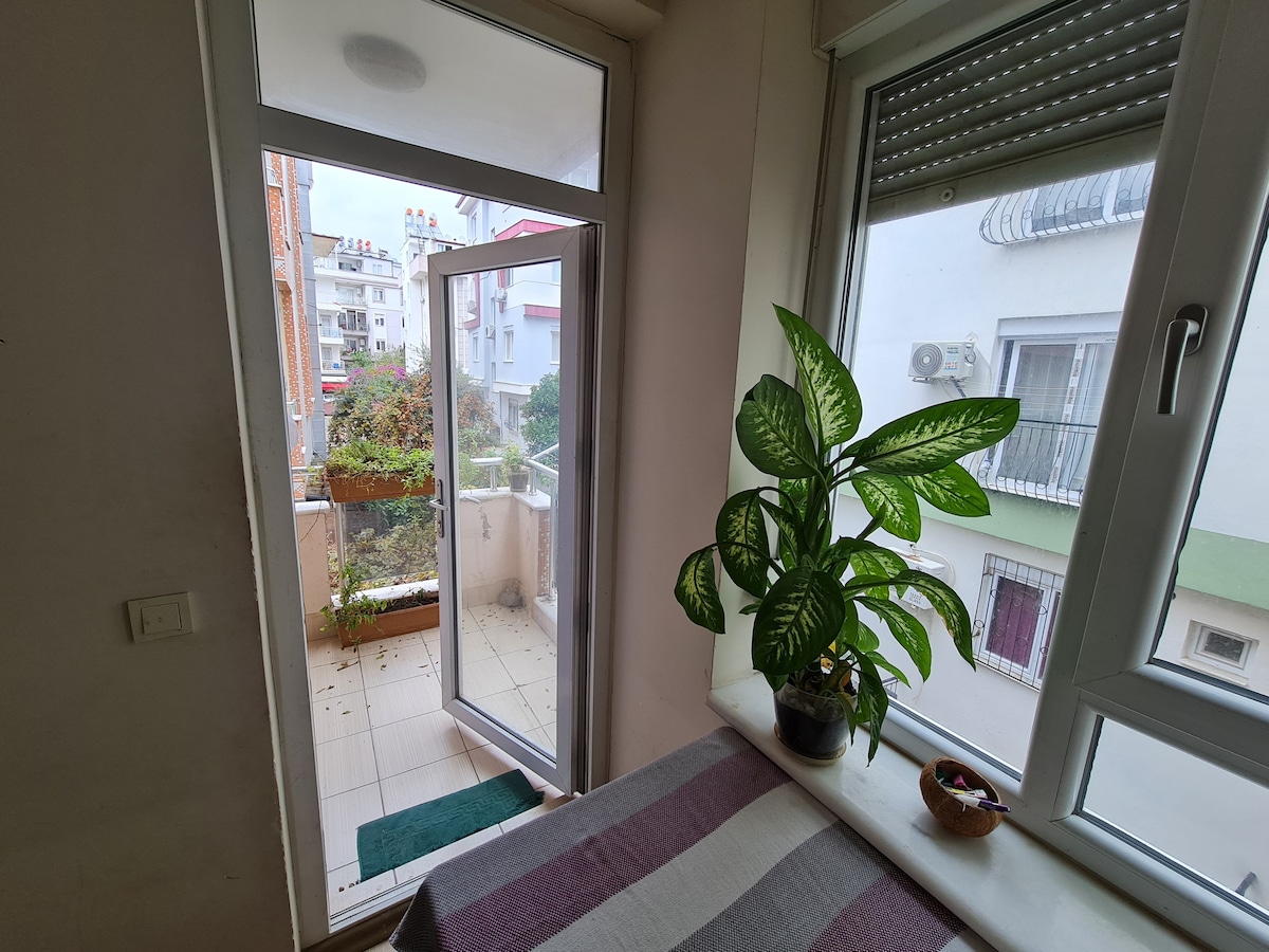 Authentic Room close to sea & uni.
animal friendly