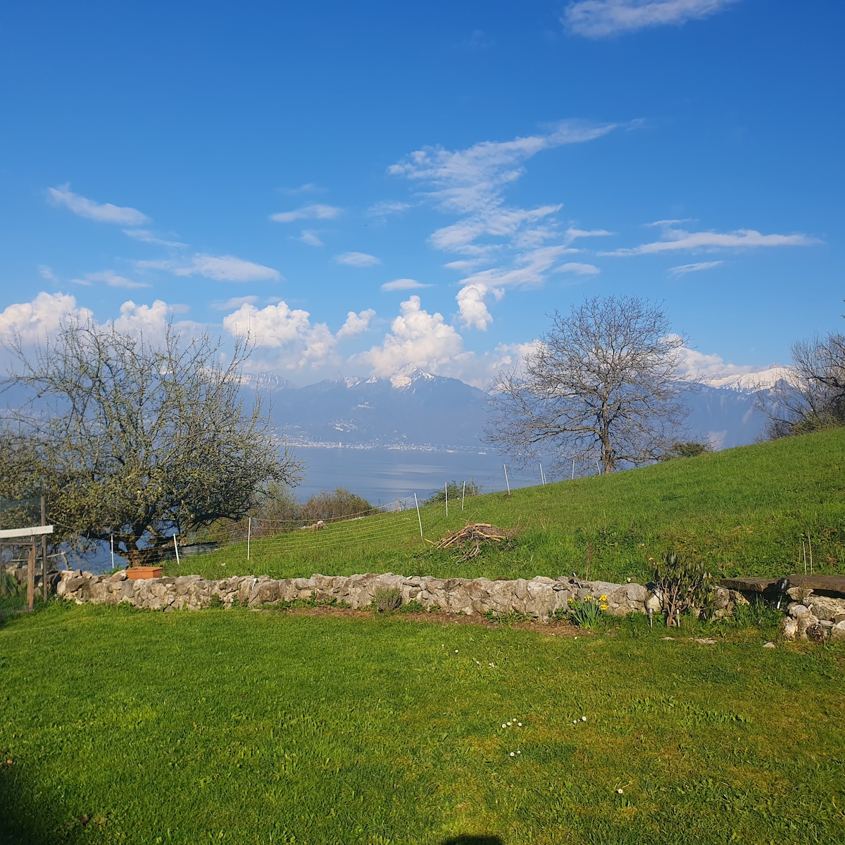 Charmante maison du lac leman