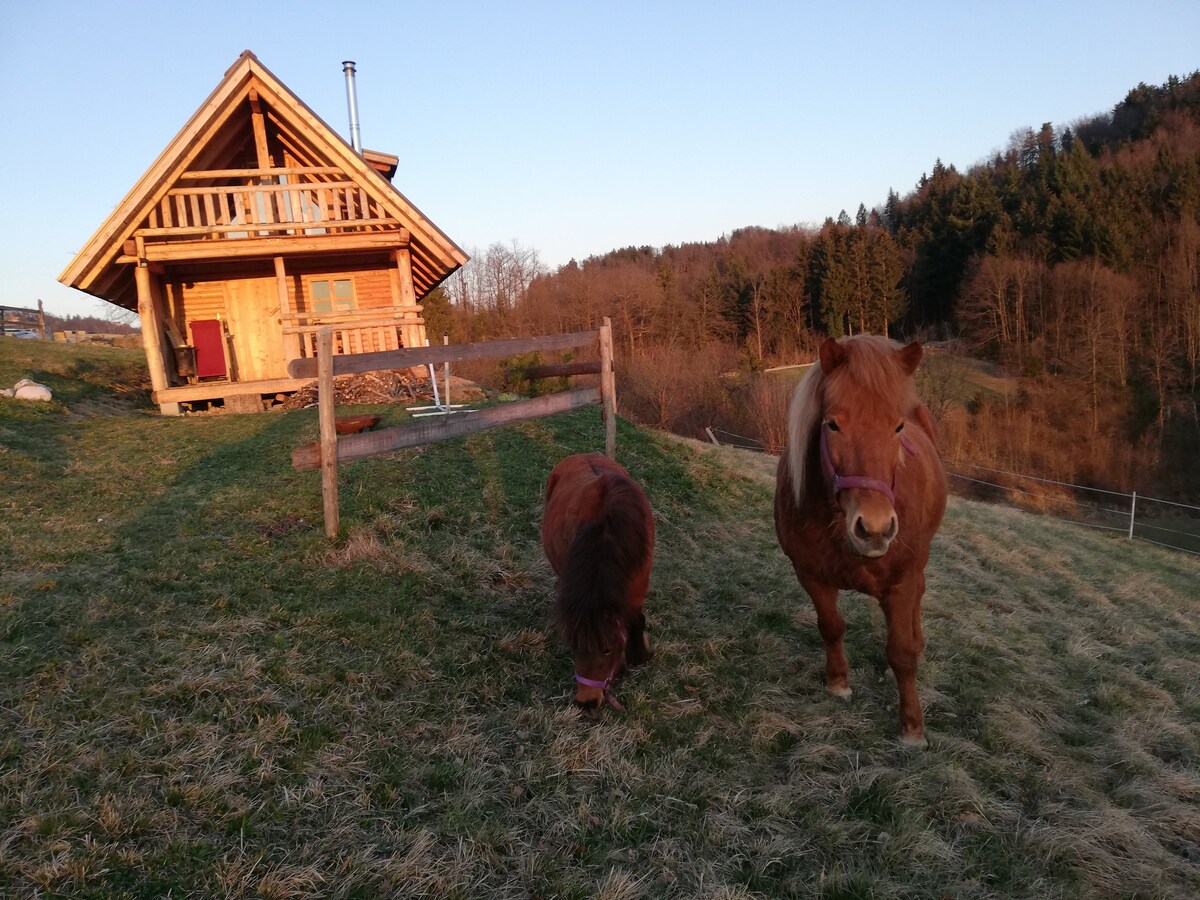 Ranch at Geti – An old wooden log cabin