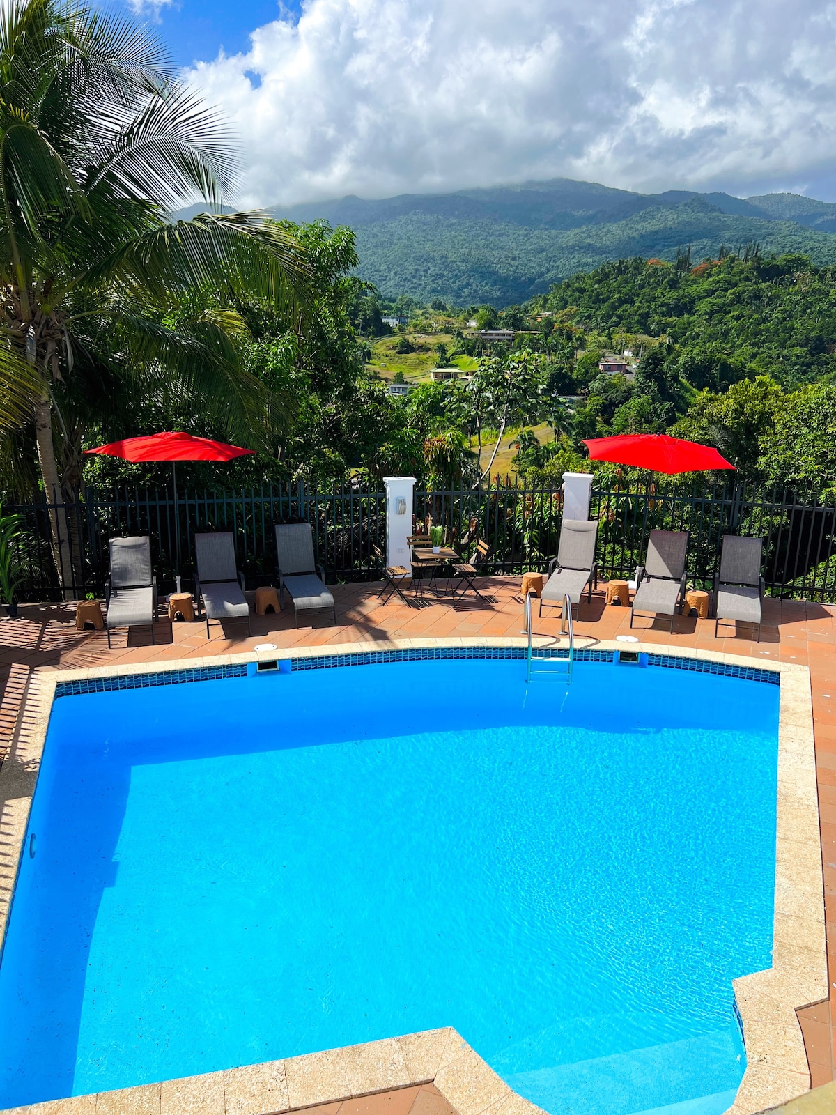 # 1、游泳池、El Yunque景观、租金七折、0费用