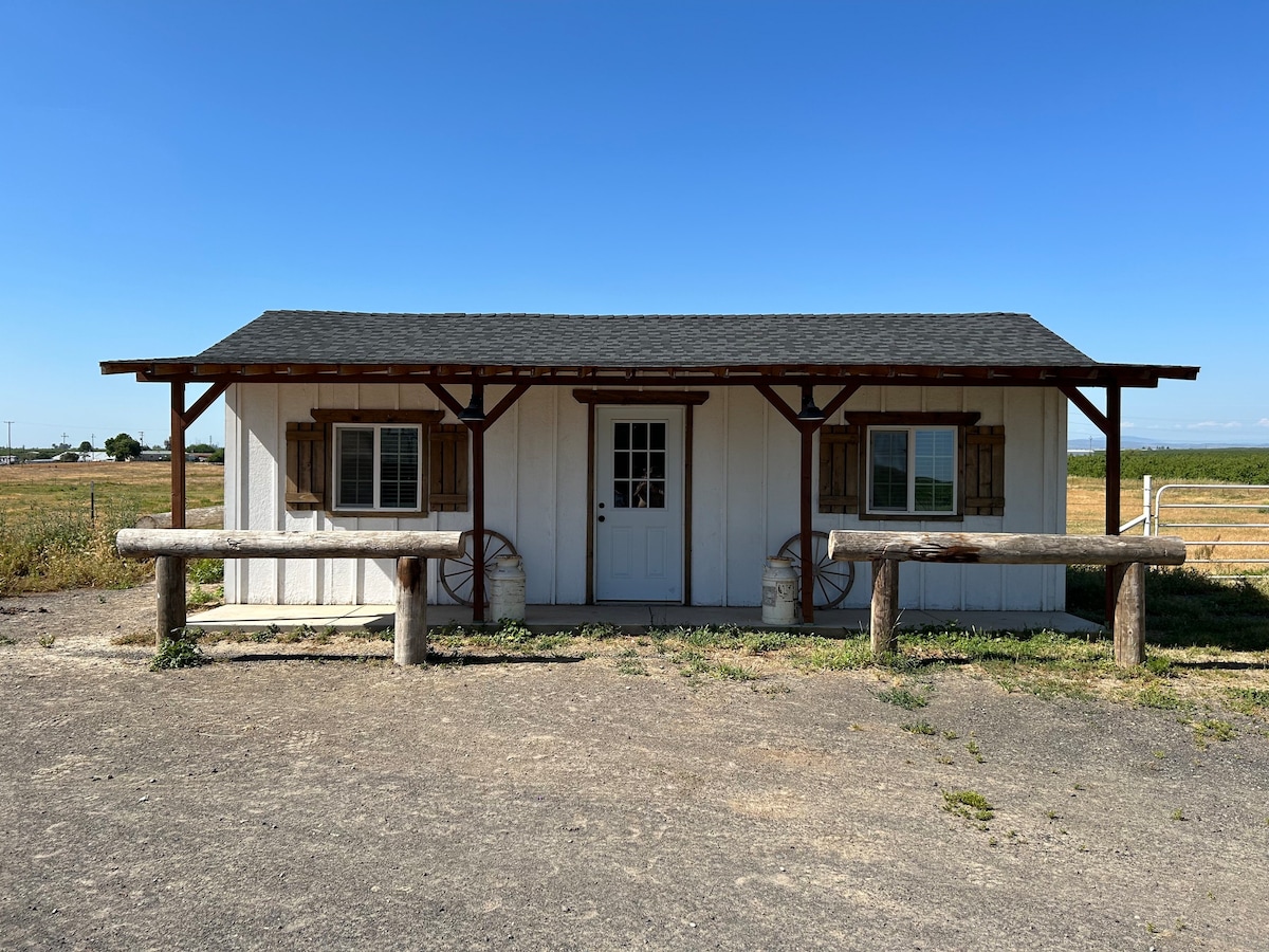 Adorable guest house with pool and horse arena