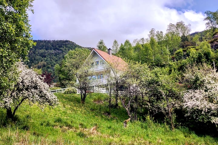 Samnanger kommune的民宿