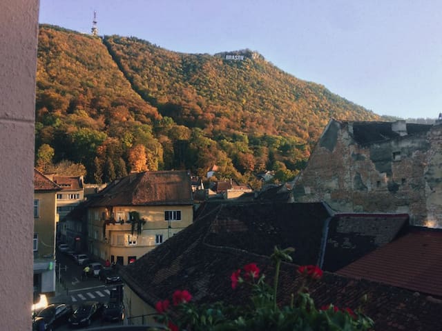 布拉索夫(Brașov)的民宿