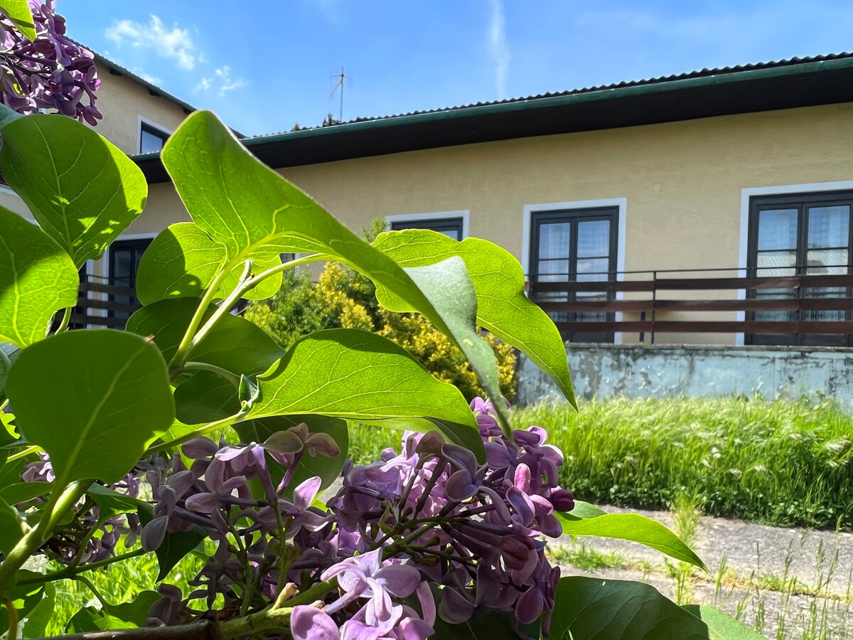 Zu Hause - Arbeiten im Grünen am Neusiedler See