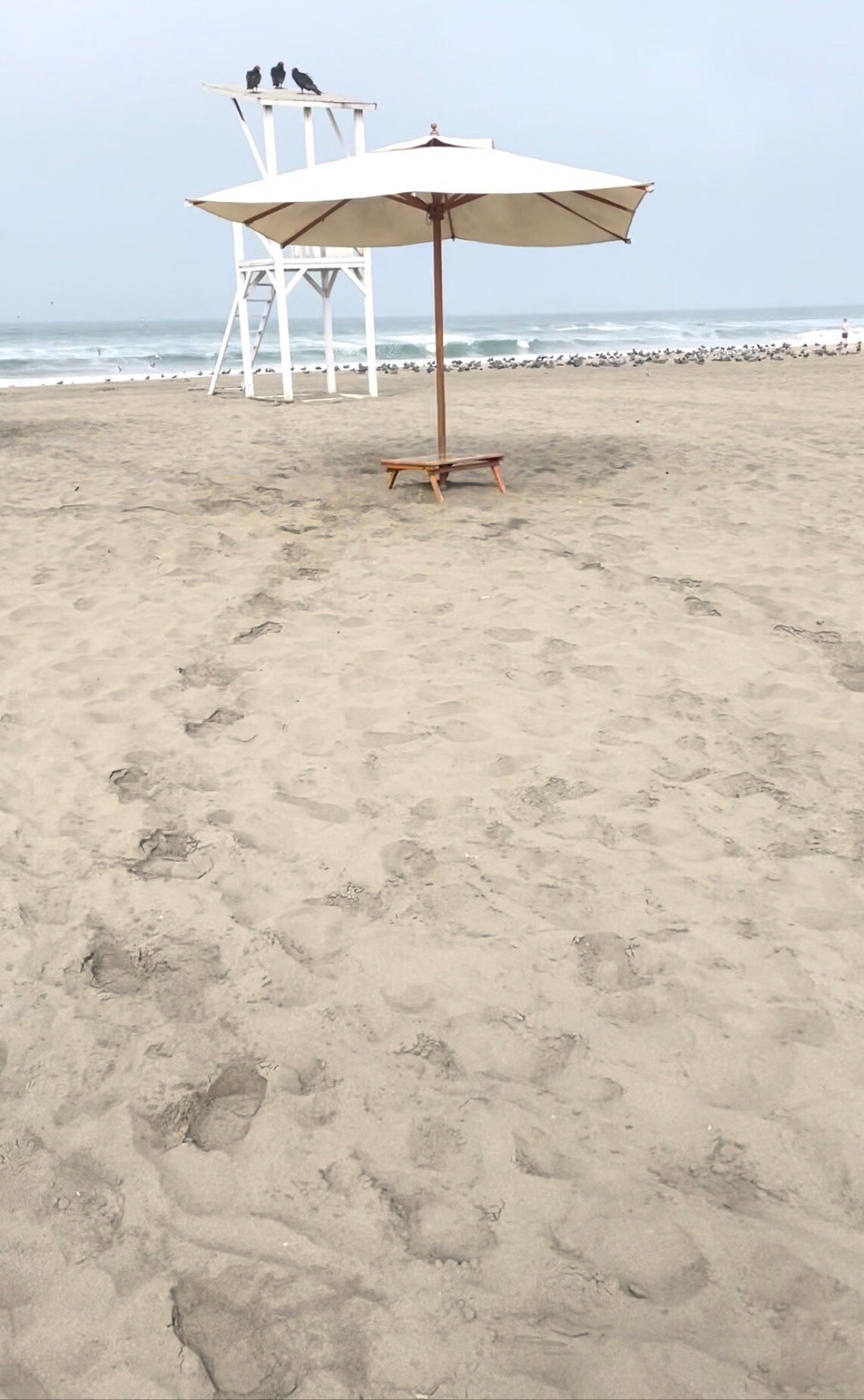 Beach Condo in Asia