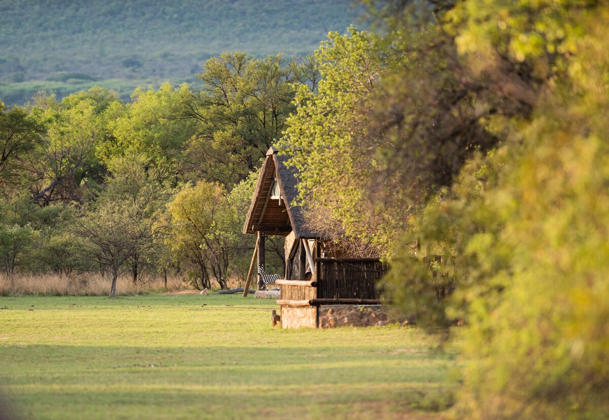 Unique nature experience in private game lodge