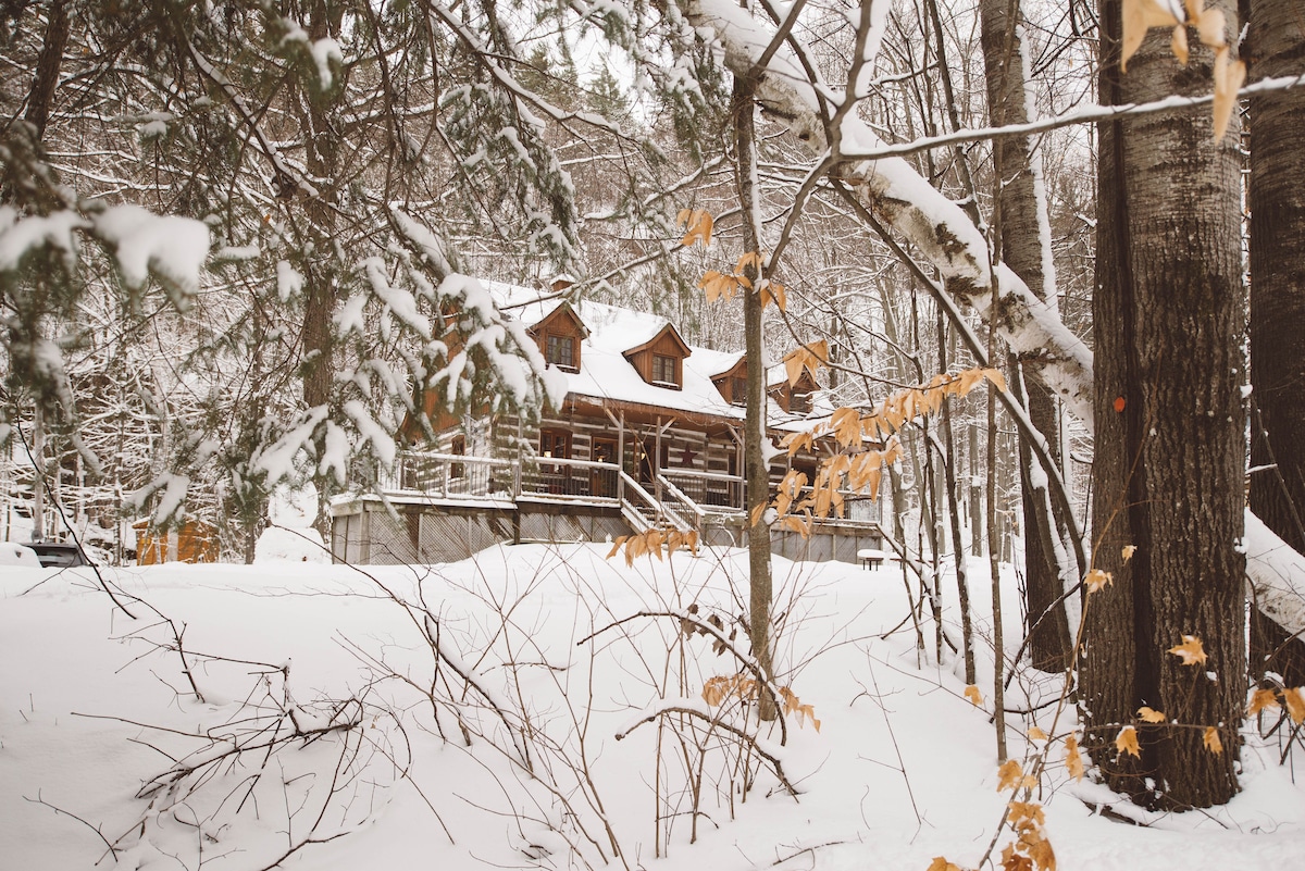 Chalet Lewis-Bowles Cabin