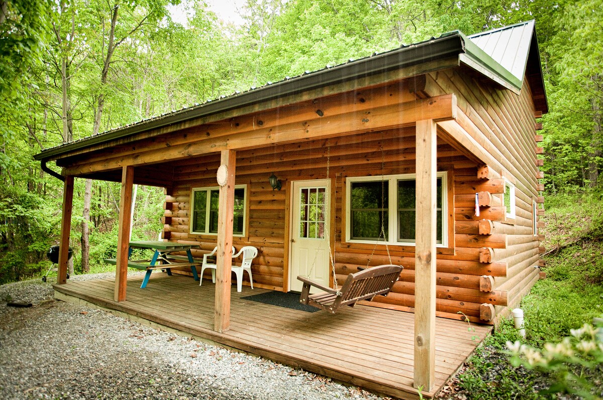 Cozy Cabin by Lake Raystown