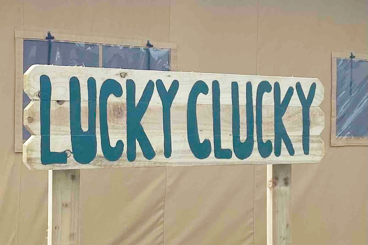 Lucky Clucky Lodge, overlooking our Emu field!