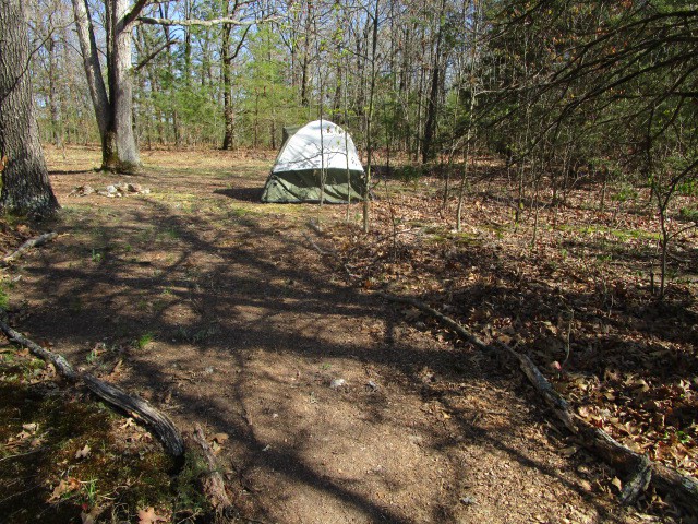 Cozy Oaks Campsite