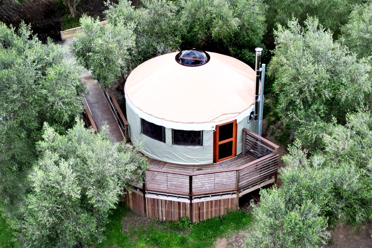 Frantoio Yurt