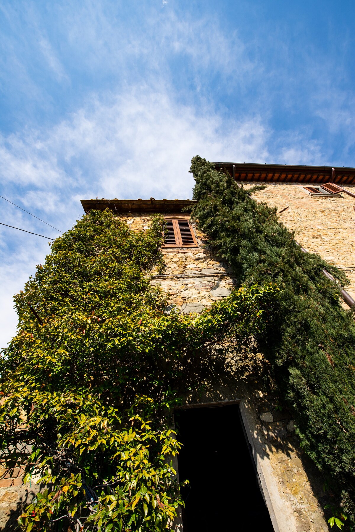 Castellino di Malborghetto - Angolo della Malva