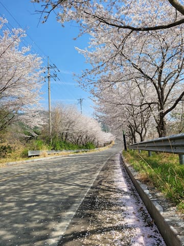 Busan-myeon, Jangheung-gun的民宿