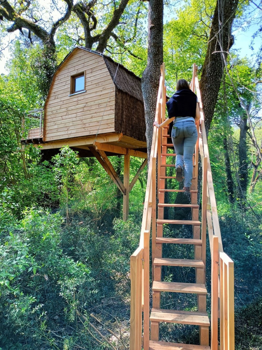 La Cabane Perché du Château