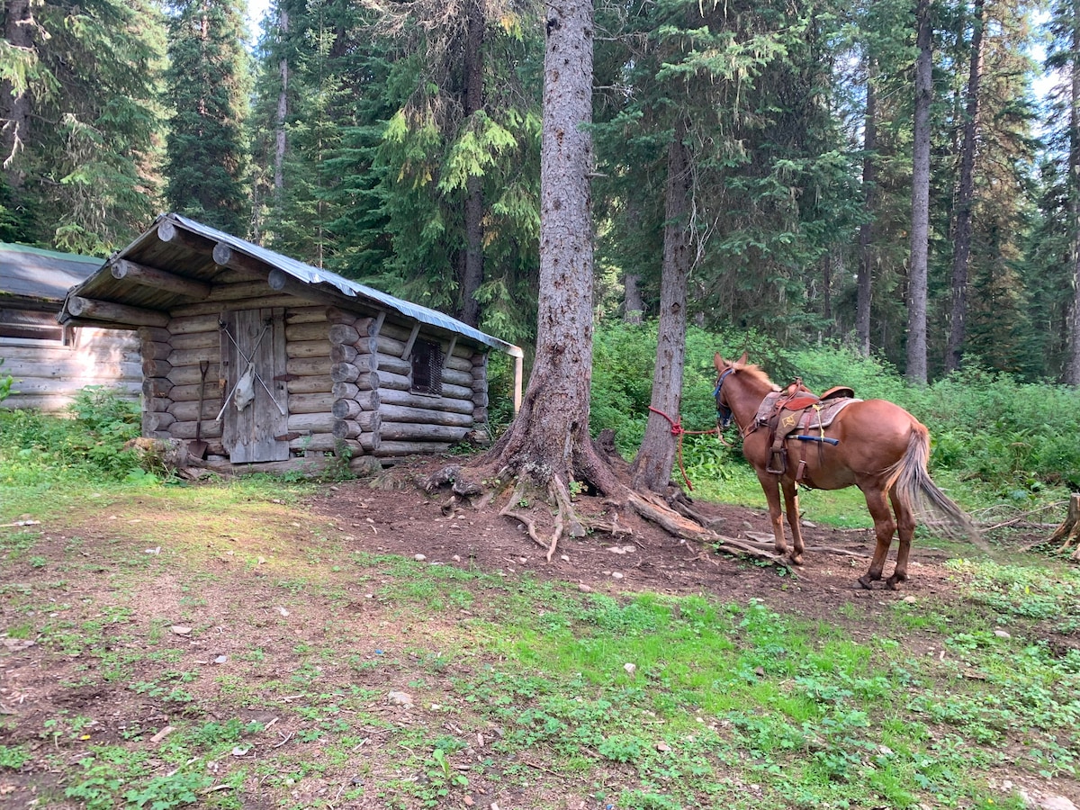 Dewer Creek Hot Springs Cabin