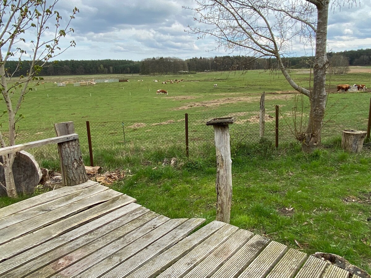 Almhütte an der Ostsee