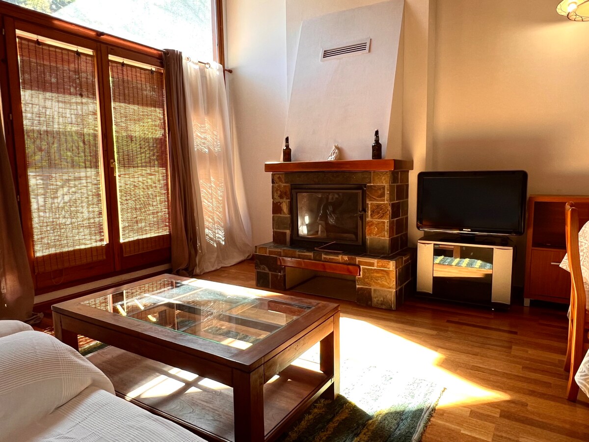 Apartament La Noguera