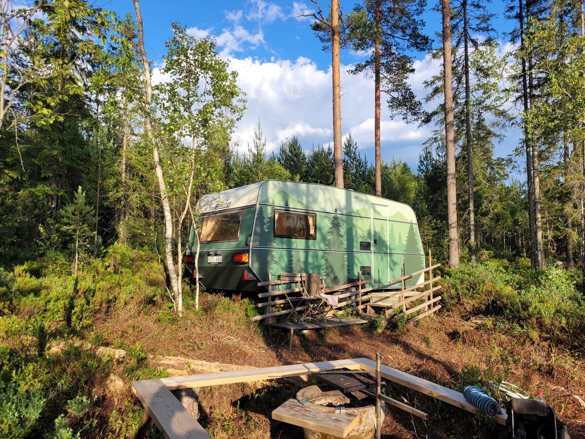 Camp Allena ，小小的荒野私人度假胜地