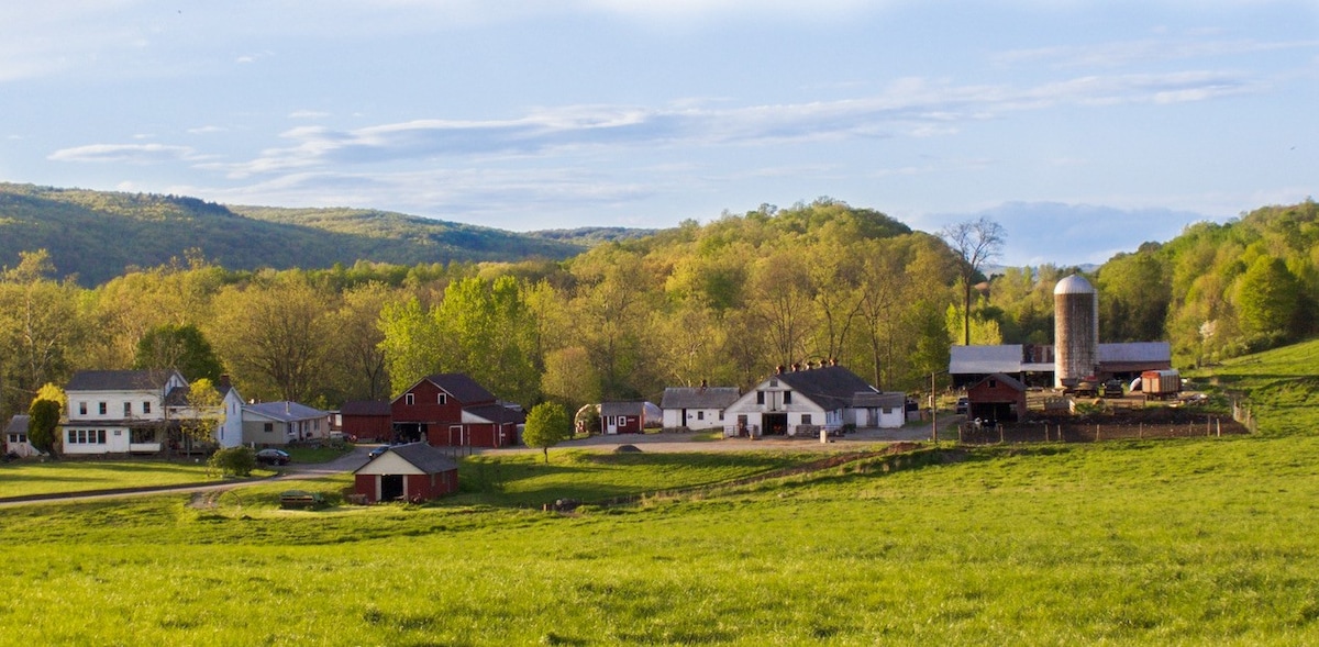 Blue Heron - Scenic Oasis on Working Farm