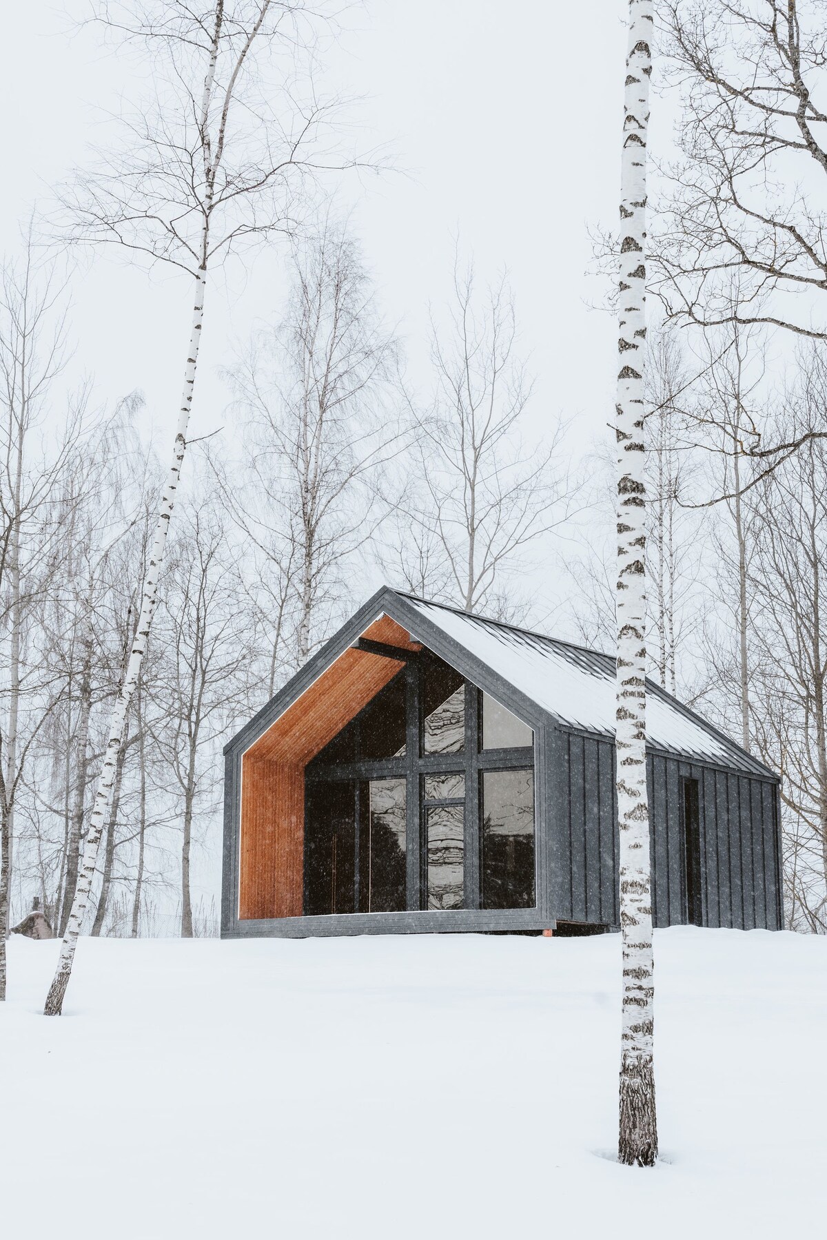 Sniegi design cabins