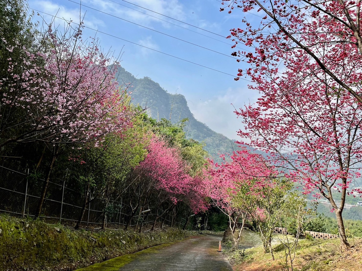 《羅浮天空》豪華四人房-1