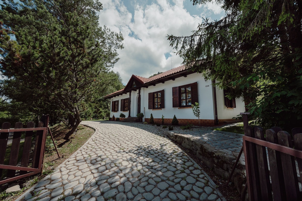 Villa in the Beskidy mountains